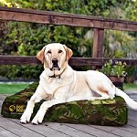 Orthopaedic Dog Bed Waterproof Memory Foam Top Slab 19cm Thickness Durable Various Sizes & Colours